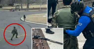 Georgia man who charged US Capitol with shotgun told police he wanted to 'talk' to Congress, court docs say