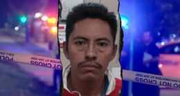 Georgia teacher killed in crash after illegal migrant flees ICE stop: DHS