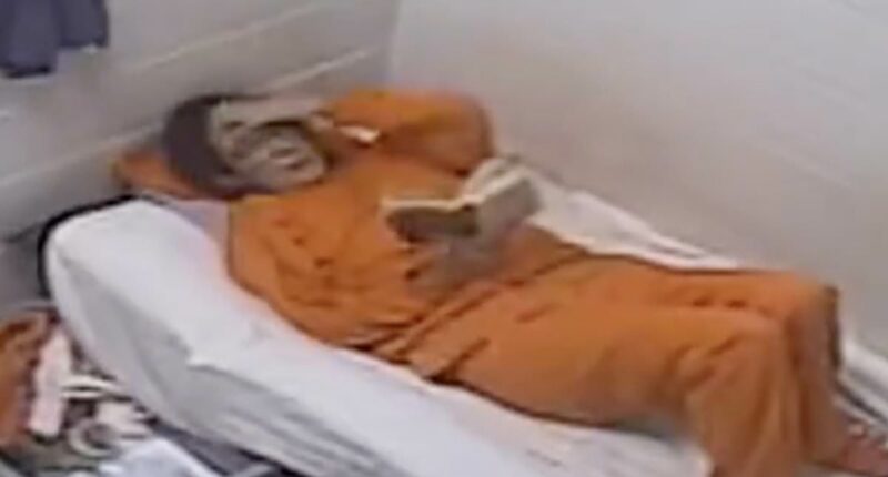 Ghislaine Maxwell seen inside her PRISON CELL in Epstein files footage