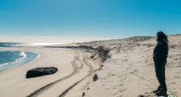 Ghost ship wreck emerges off the coast of popular beach