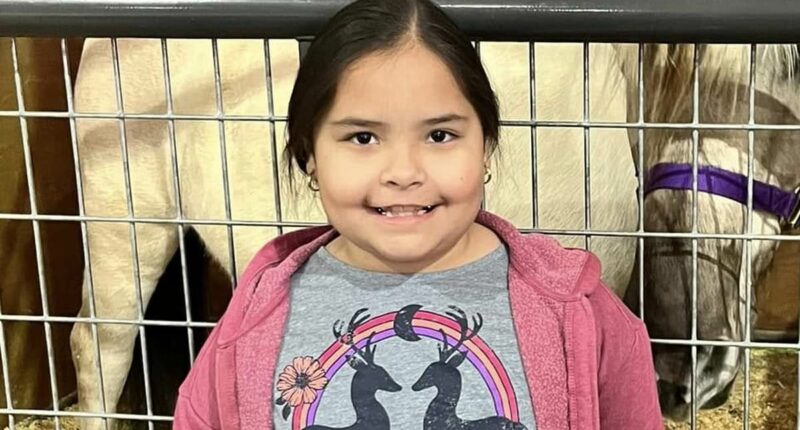 Girl, 10, shot in her parents' car during road rage incident