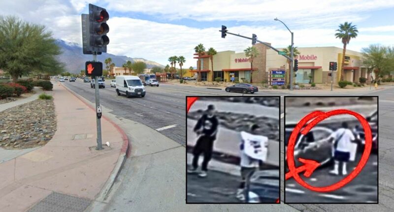 'Good-hearted' drivers conned into donating money for funeral of kid who was 'very much alive' after scammers held up signs of the 'deceased' child: Cops