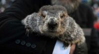 Groundhog Day puts Punxsutawney Phil's forecast about winter's length in the spotlight