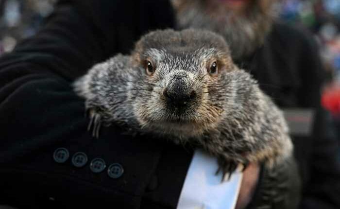 Groundhog Day puts Punxsutawney Phil's forecast about winter's length in the spotlight