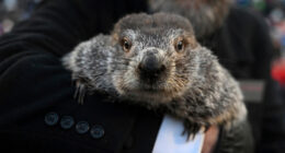 Groundhog Day puts Punxsutawney Phil's forecast about winter's length in the spotlight