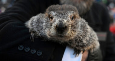 Groundhog Day puts Punxsutawney Phil's forecast about winter's length in the spotlight