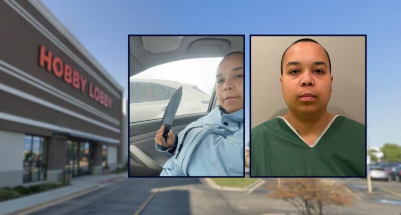 'Guess I outsmarted the cops': Woman hit 2 people with her Camry, bragged on Facebook about not getting caught, then attacked another man with a butcher knife, police say
