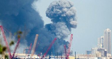 Gulf states condemn Iranian retaliatory strikes on their territories following US-Israeli operation