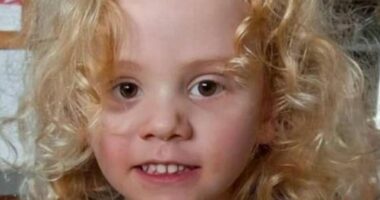 SA Police has released the first picture of missing 4-year-old boy Gus Lamont.