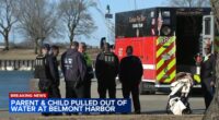 Gust of wind blows baby girl in stroller into Lake Michigan at Belmont Harbor near Lakeview, Chicago, man dives in to save child