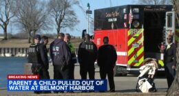 Gust of wind blows baby girl in stroller into Lake Michigan at Belmont Harbor near Lakeview, Chicago, man dives in to save child