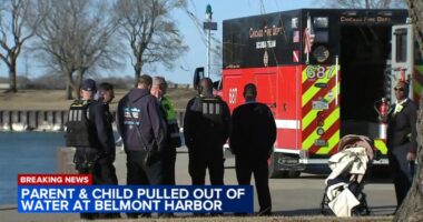 Gust of wind blows baby girl in stroller into Lake Michigan at Belmont Harbor near Lakeview, Chicago, man dives in to save child
