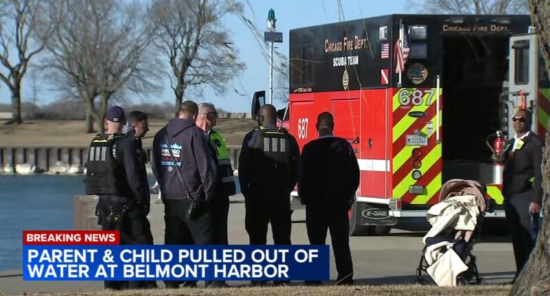 Gust of wind blows baby girl in stroller into Lake Michigan at Belmont Harbor near Lakeview, Chicago, man dives in to save child