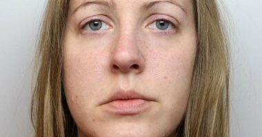 HITCHENS: My small victory over Cheshire Police in the Letby case