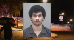 'Had to kill someone': Driver armed with 12-gauge runs over family out for evening walk, blasts 3-year-old girl and tries to break mother's neck, cops say