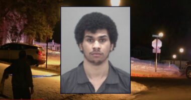 'Had to kill someone': Driver armed with 12-gauge runs over family out for evening walk, blasts 3-year-old girl and tries to break mother's neck, cops say