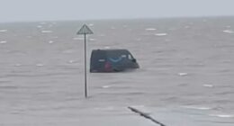 Hapless Amazon delivery driver stuck in water after following GPS