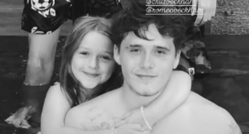 Harper Beckham directly reaches out to her estranged brother Brooklyn