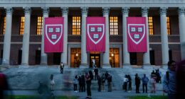 Harvard students earn course credit helping asylum seekers as critics calls school 'bastion of woke activism'