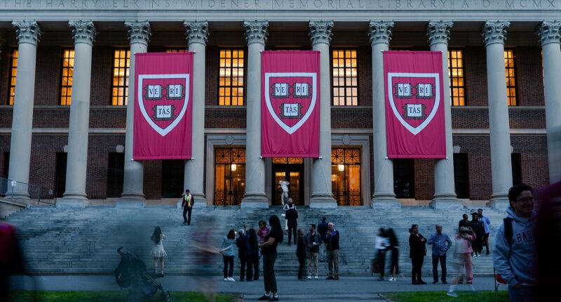 Harvard students earn course credit helping asylum seekers as critics calls school 'bastion of woke activism'