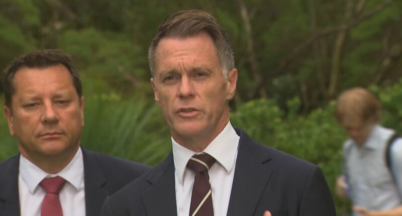 Hate speech law to expand into schools, teachers, Minns says