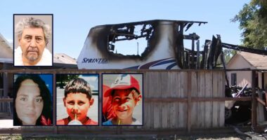 'Heard his mother yelling': Teen watches his mom and brothers, ages 10 and 7, die in fire set by her ex-boyfriend a day after they broke up