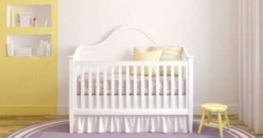 Hearing set for Florida couple in IVF biological baby mix-up