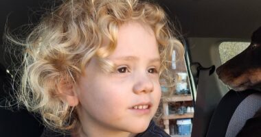 Heartbroken parents of missing Gus Lamont finally break their silence