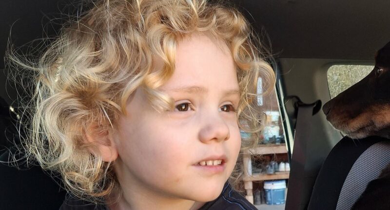 Heartbroken parents of missing Gus Lamont finally break their silence