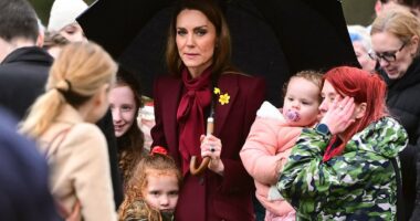 Her royal hugness! Kate gets a cuddle from an adorable young royal fan who doesn't want to let go of the Princess on visit to Wales