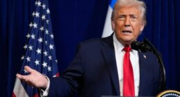 Here's What We Know About Trump Declaring an Emergency in D.C. Over Potomac Sewage Spill