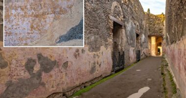 Hidden graffiti in Pompeii reveals 2,000-year-old love notes: 'An immense legacy'