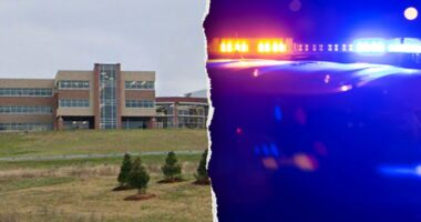 High school senior facing more than 300 felony charges in alleged sextortion scheme targeting minors: reports