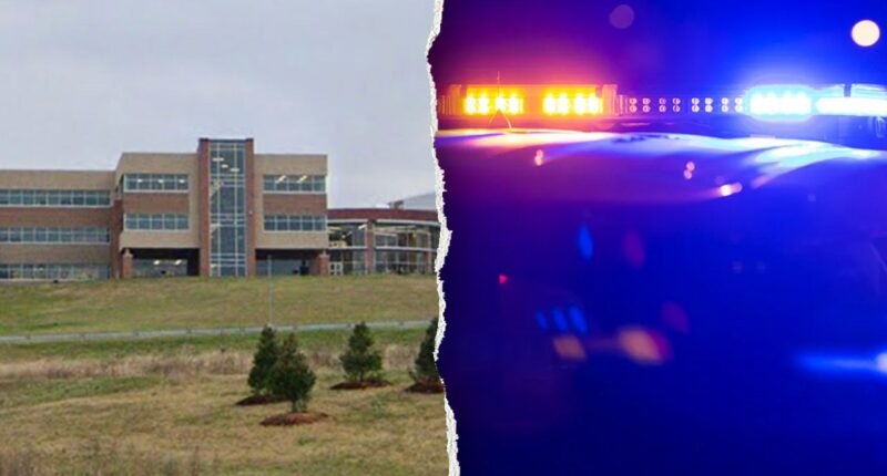 High school senior facing more than 300 felony charges in alleged sextortion scheme targeting minors: reports