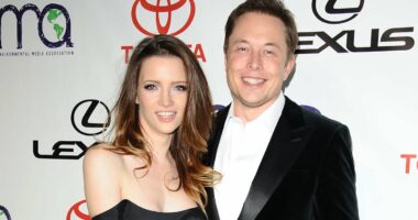 Hillary Clinton drags Elon Musk into Epstein storm over secret messages about his wife: Hearing in chaos