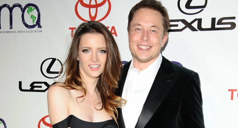 Hillary Clinton drags Elon Musk into Epstein storm over secret messages about his wife: Hearing in chaos