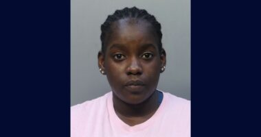 'Hit him on his face': Florida woman admittedly beat 7-year-old autistic son with a belt after he kissed classmate on the cheek, police say