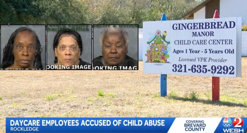 'Hitting children with the spoon': 3 day care workers accused of smacking young kids and 'torturing' them until they 'expected it'