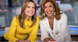 Hoda Kotb returns to 'Today' as search continues for Savannah Guthrie's mother