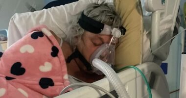 Holidaymakers sue travel firm for £5million after gastric illnesses