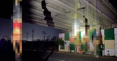 Horrific executions of El Mencho's 'cannibal cartel'