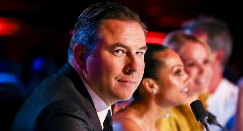 How David Walliams gleefully molested young men on stage