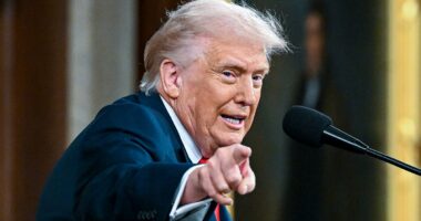 How US Olympic hockey heroes allowed 'showman' Trump to cut loose during his State of the Union speech