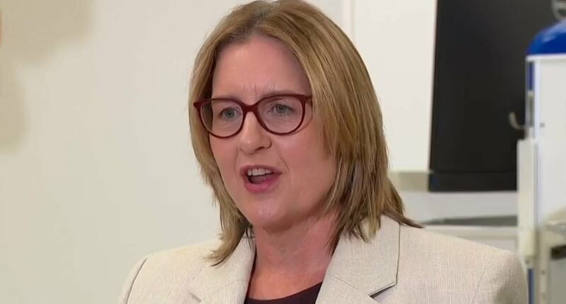 How seven words made Jacinta Allan LOSE IT at a journalist