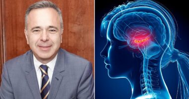 How to reduce your brain's biological age in just three months, by a world-leading neurologist whose regime is clinically proven to work. Use our interactive brain calculator - and follow the guide