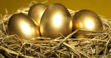 How to turn £2 a day into £10,000: A beginner's guide to 'micro investing' in the stock market and how you can do it without lifting a finger