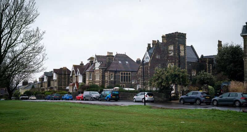 How 'woke' killed Bristol: Residents in UK's 'trendiest city' say that noisy pro-Palestine activists rule the roost while out-of-control crime gangs loot with abandon