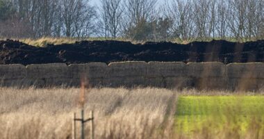 Huge pile of manure is dumped 200 yards from Andrew's new home