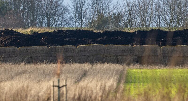 Huge pile of manure is dumped 200 yards from Andrew's new home