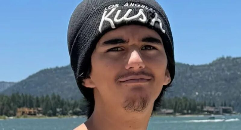 Human remains found in search for teen who went missing in Hawaii